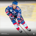 Marcel Goc